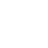 play icon